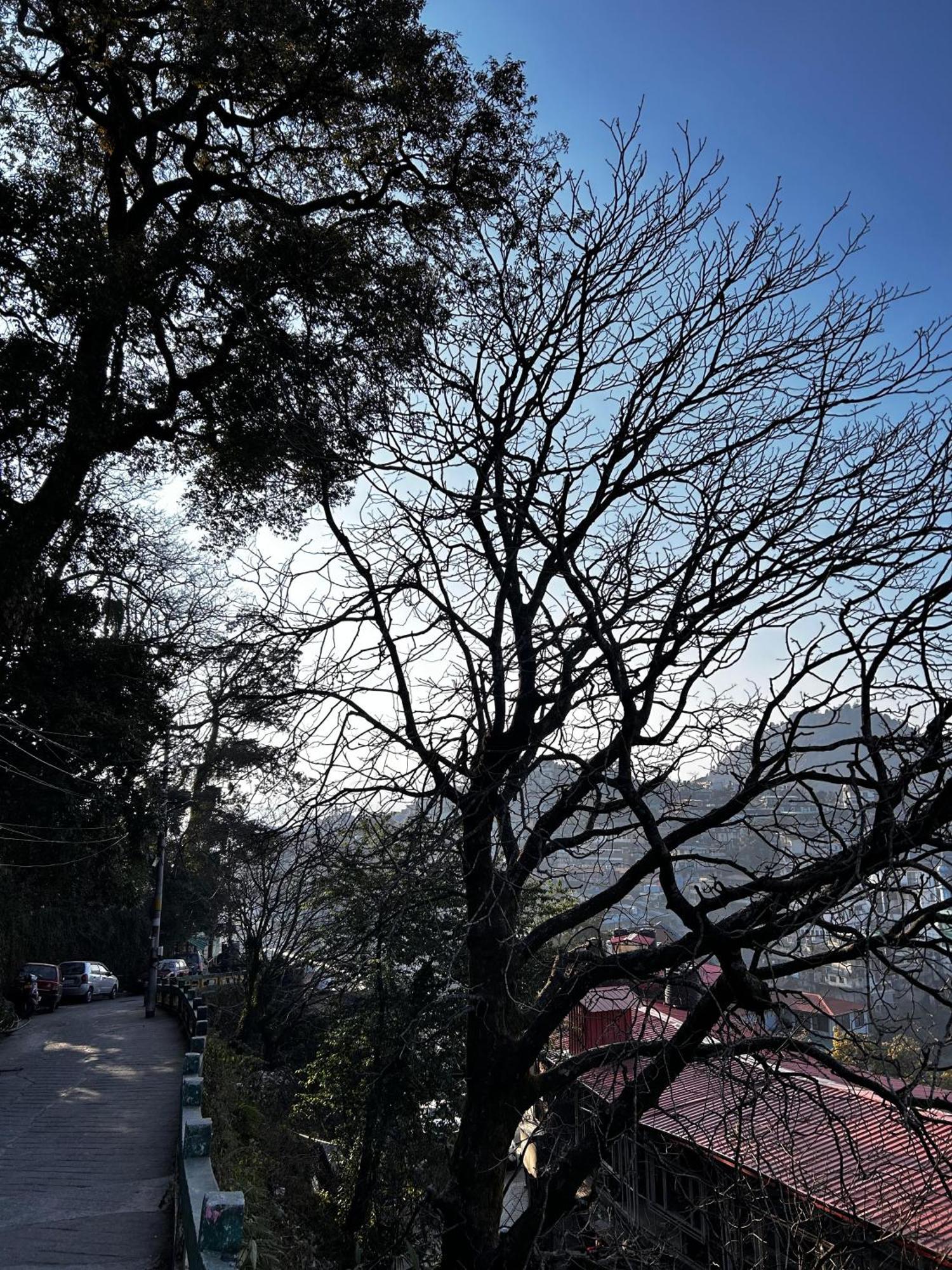 Super Hotel By Perfectstayz Mall Road Mussoorie Dış mekan fotoğraf